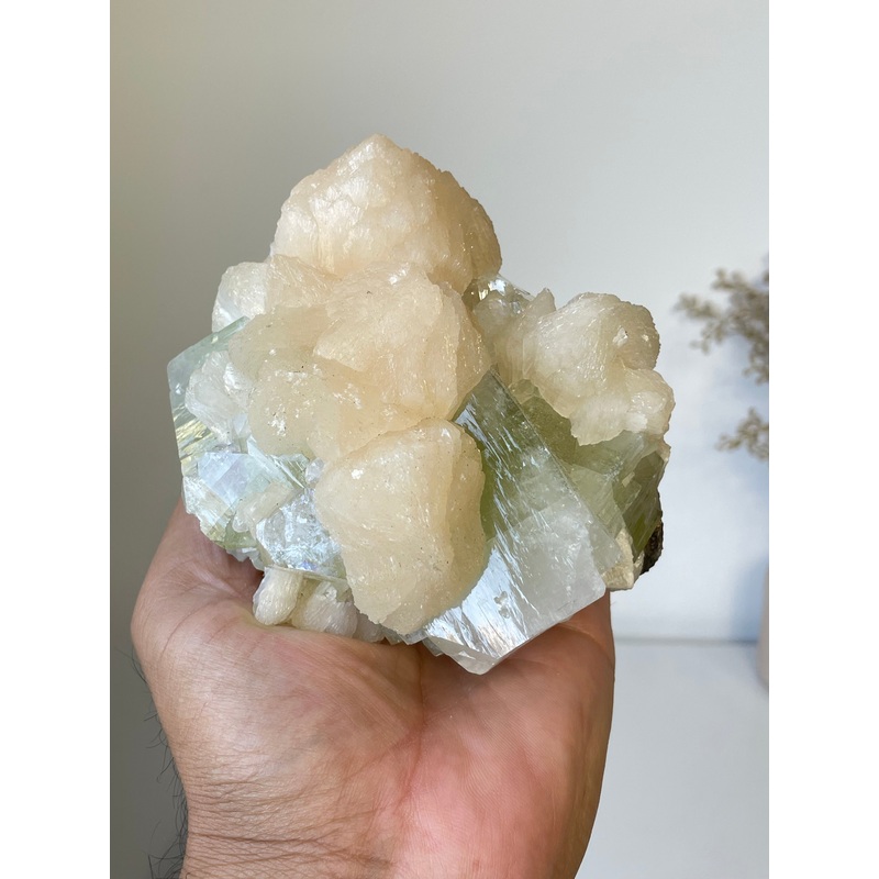 Green Apophyllite Natural Cluster AP747a