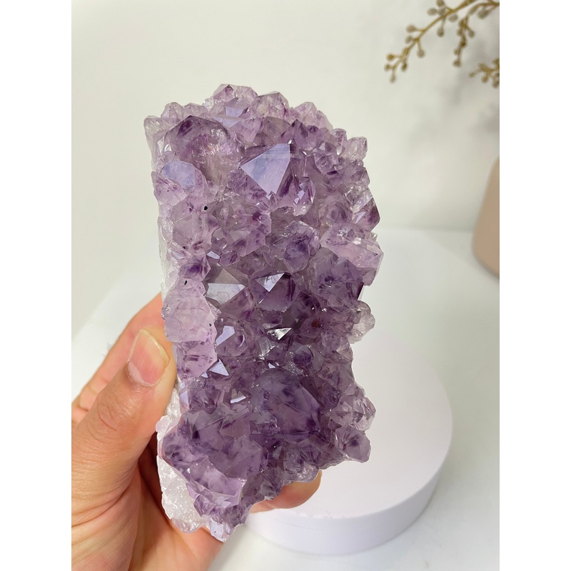 Amethyst Natural Crystal Cluster A467