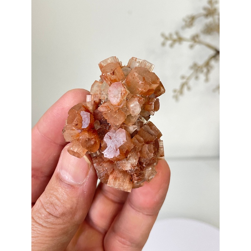 Aragonite Natural Cluster Morocco AR13