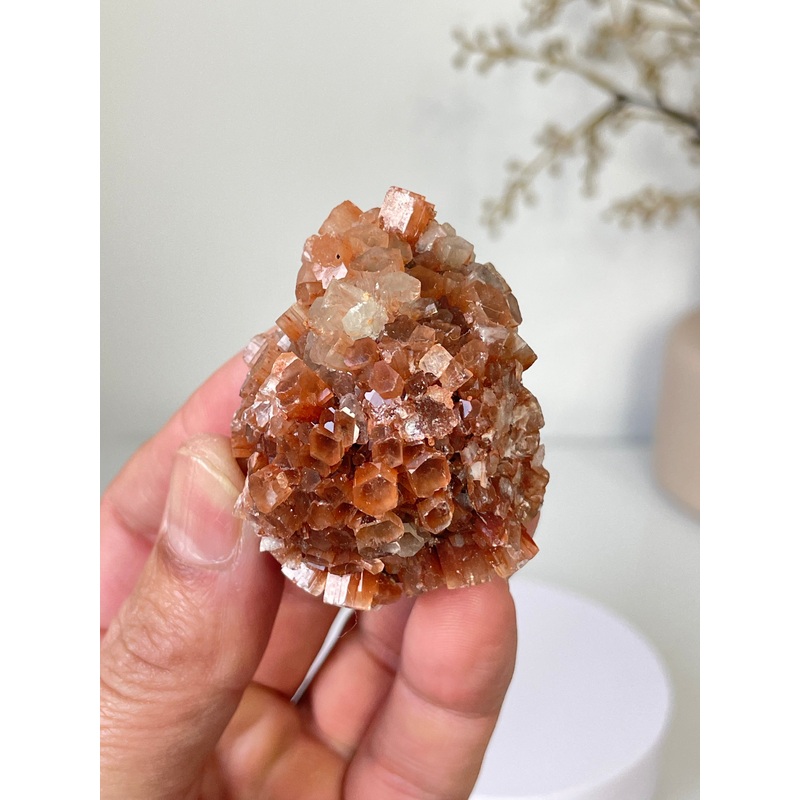 Aragonite Natural Cluster Morocco AR16