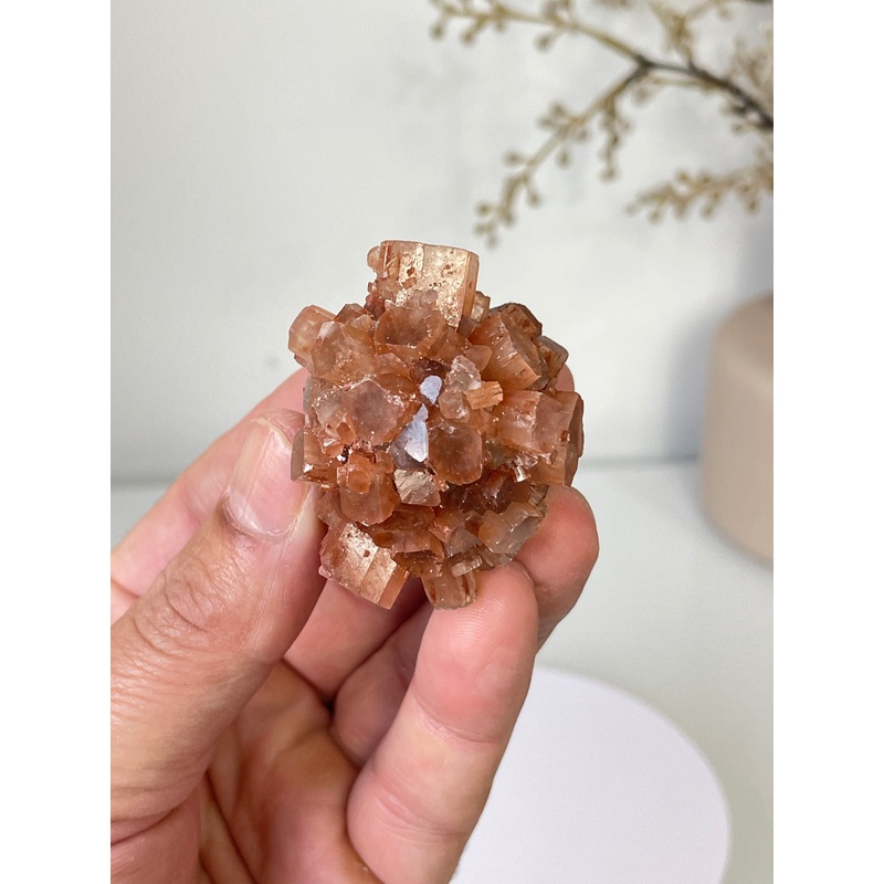 Aragonite Natural Cluster Morocco AR17