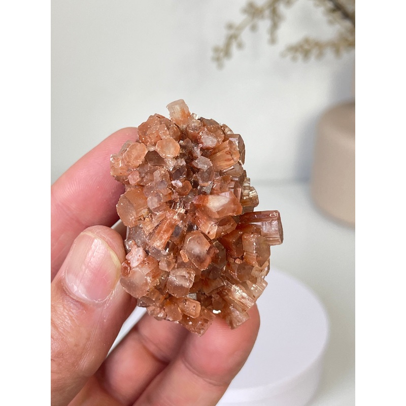 Aragonite Natural Cluster Morocco AR18