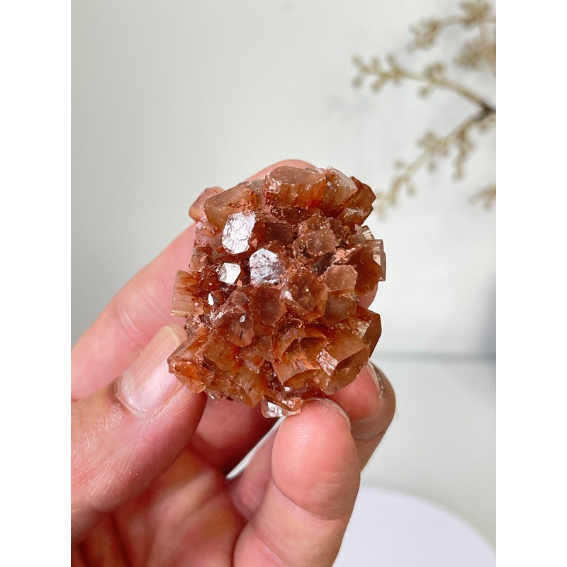 Aragonite Natural Cluster Morocco AR20