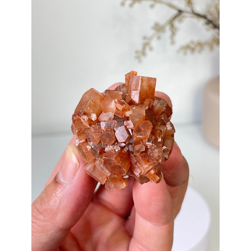 Aragonite Natural Cluster Morocco AR21