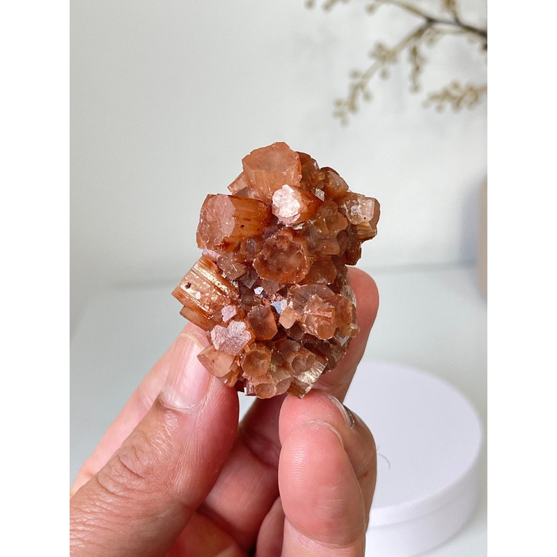 Aragonite Natural Cluster Morocco AR22