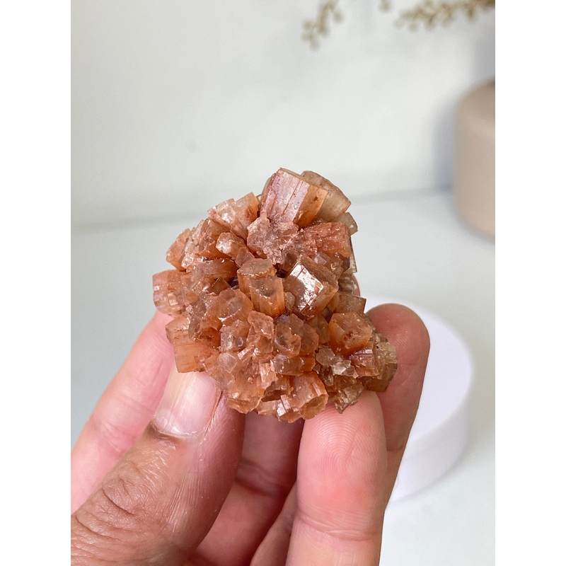 Aragonite Natural Cluster Morocco AR23
