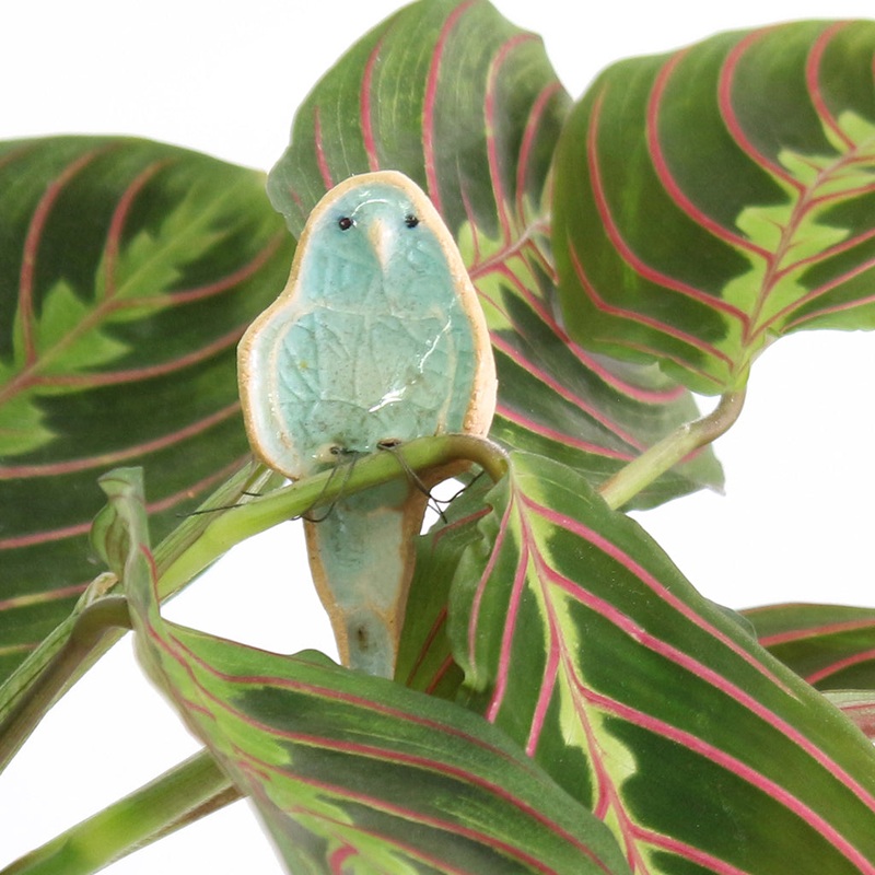 Barbara Budgie Plant Hugger Decoration