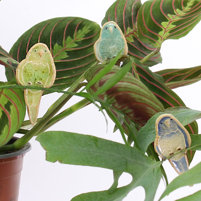 Budgie Plant Hugger Decorations