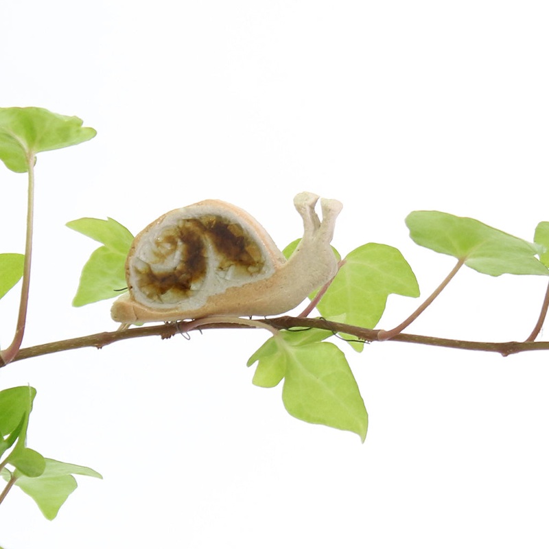 Sidney Snail Plant Hugger Decoration