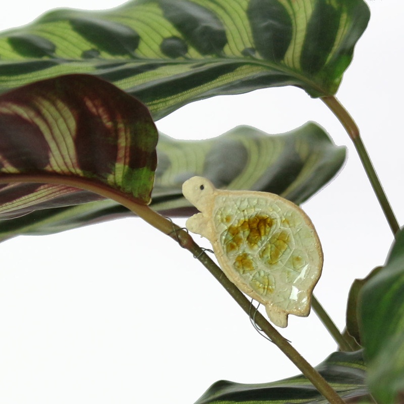 Timothy Tortoise Plant Hugger Decoration