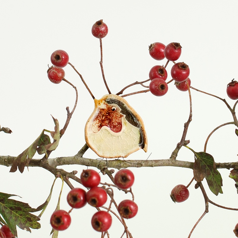 Rachel the Robin Ceramic Plant Hugger Decoration