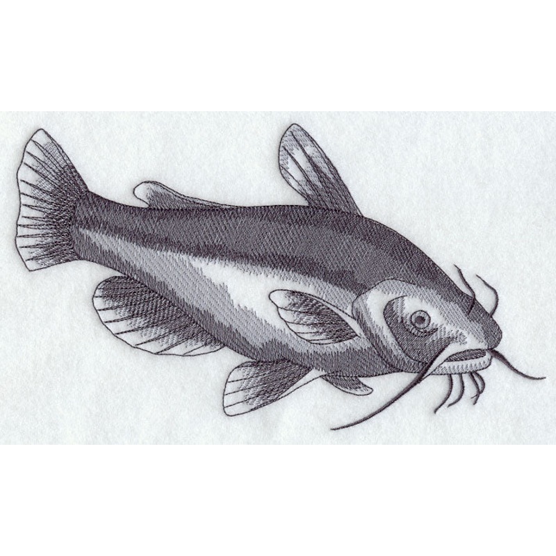 Yellow Bullhead Sketch|5.53″ x 9.4″ / 140.57mm x 238.88mm|4.02″ x 6.84″ / 102.2mm x 173.69mm|2.27″ x 3.85″ / 57.59mm x 97.91mm|All Sizes