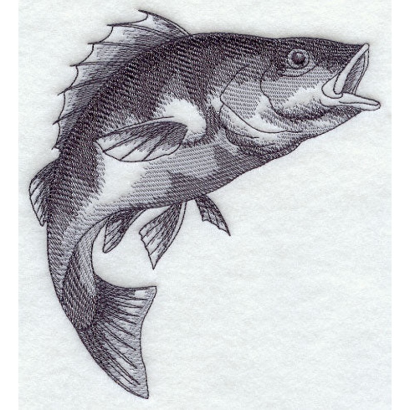 Yellow Perch Sketch|6.51″ x 5.85″ / 165.3mm x 148.56mm|5.4″ x 4.85″ / 137.04mm x 123.16mm|3.85″ x 3.46″ / 97.79mm x 87.87mm|All Sizes