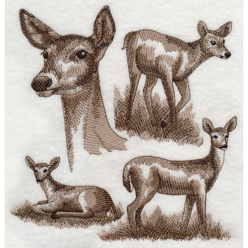 White-tailed Deer Sketch|7.8″ x 7.48″ / 198.15mm x 189.97mm|6.9″ x 6.61″ / 175.33mm x 167.94mm|6.13″ x 5.86″ / 155.62mm x 148.92mm|5.1″ x 4.86″ / 129.6mm x 123.54mm|All Sizes