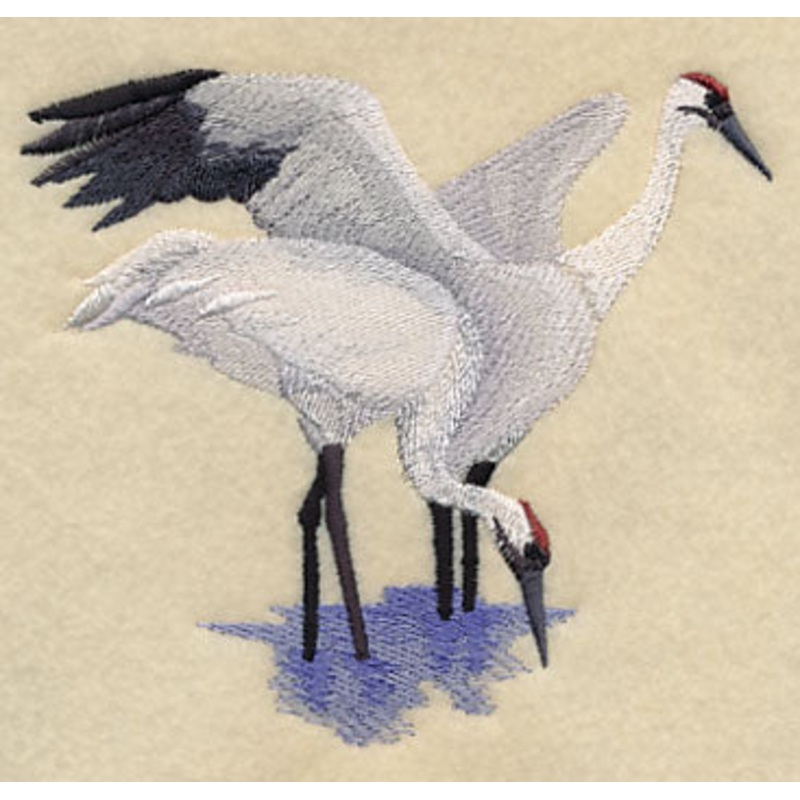 Whooping Cranes in the Marsh|4.38″ x 4.84″ / 111.17mm x 122.98mm|3.46″ x 3.86″ / 87.96mm x 97.95mm|All Sizes