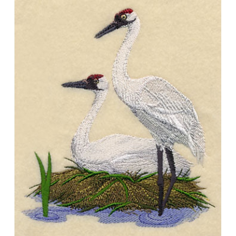 Whooping Cranes on Shore|5.13″ x 4.62″ / 130.33mm x 117.23mm|3.86″ x 3.48″ / 97.94mm x 88.33mm|All Sizes