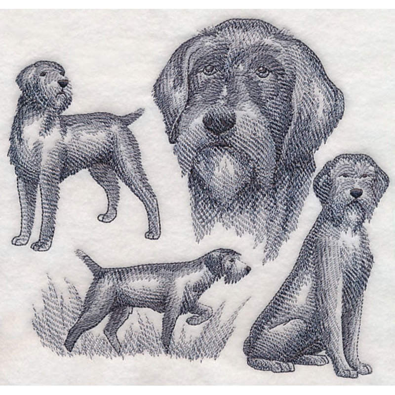 Wirehaired Pointing Griffon Sketch (Docked Tail)