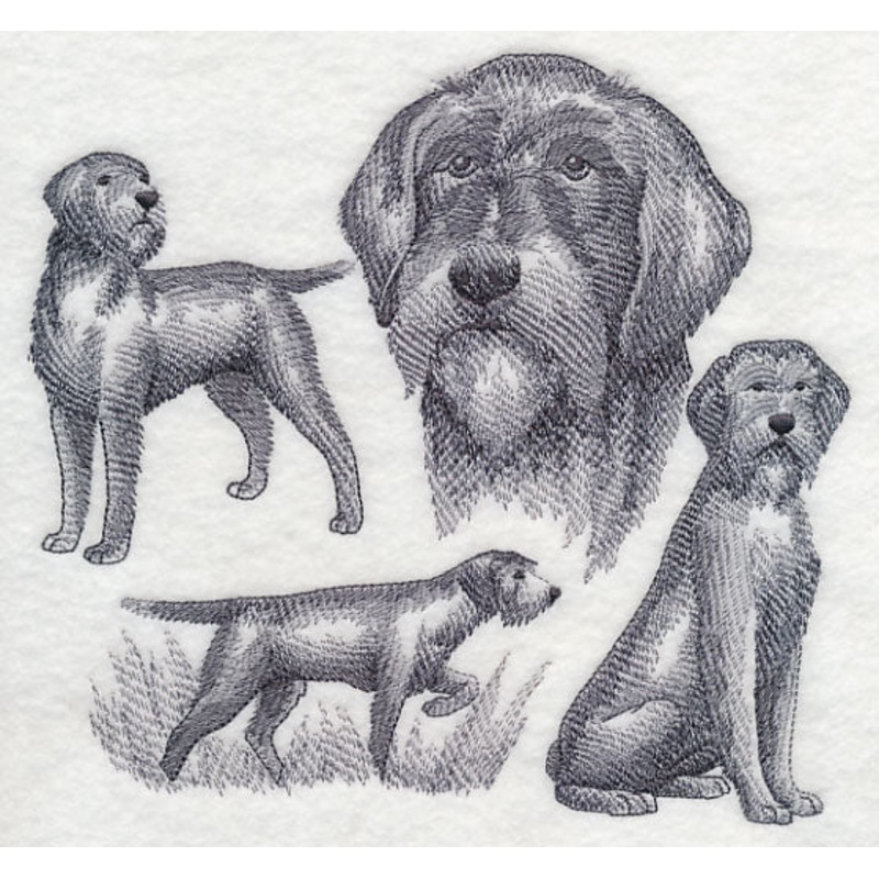 Wirehaired Pointing Griffon Sketch (Full Tail)