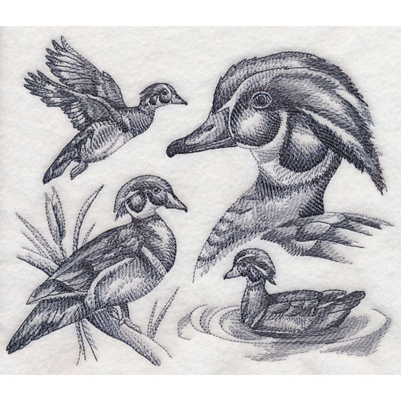 Wood Duck Sketch|6.56″ x 7.76″ / 166.55mm x 197.21mm|5.85″ x 6.91″ / 148.59mm x 175.53mm|4.85″ x 5.74″ / 123.21mm x 145.69mm|All Sizes