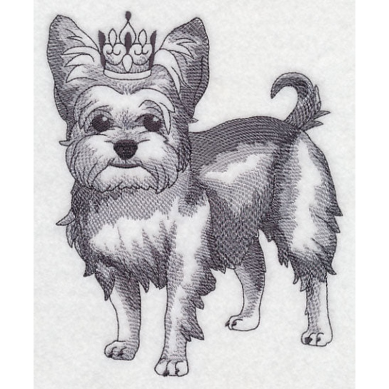 Yorkshire Terrier in Crown|7.2″ x 5.85″ / 182.88mm x 148.5mm|5.97″ x 4.85″ / 151.65mm x 123.11mm|3.86″ x 3.13″ / 97.96mm x 79.48mm|All Sizes
