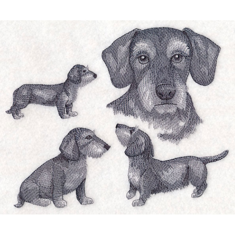 Wire-Haired Wiener Dog Sketch|6.35″ x 7.8″ / 161.28mm x 198.12mm|5.86″ x 7.19″ / 148.74mm x 182.67mm|4.85″ x 5.94″ / 123.15mm x 150.82mm|All Sizes
