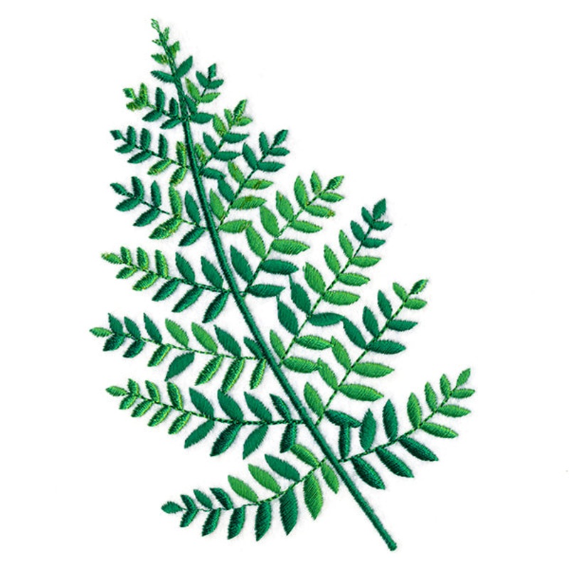 Wild Fern 1|5.32″ x 3.87″ / 135.24mm x 98.28mm|3.35″ x 5.78″ / 85.08mm x 146.77mm|All Sizes