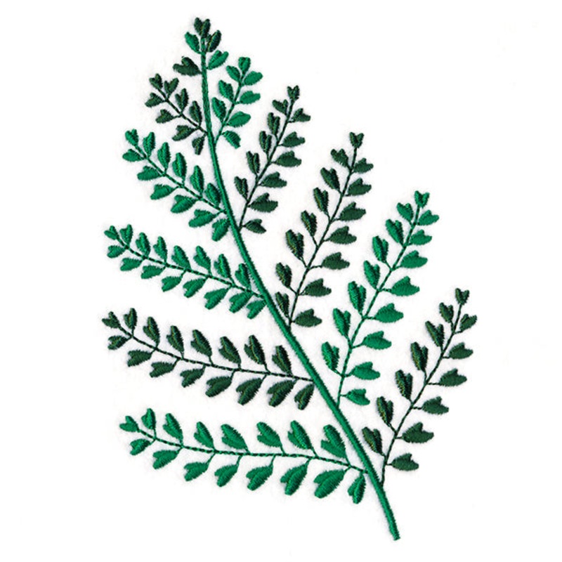 Wild Fern 3|5.25″ x 3.75″ / 133.39mm x 95.25mm|3.06″ x 2.18″ / 77.69mm x 55.47mm|All Sizes