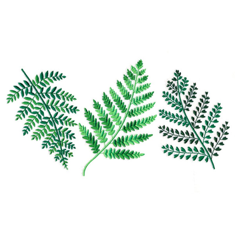 Wild Fern Trio|6.21″ x 11.75″ / 157.73mm x 298.45mm|4.97″ x 9.41″ / 126.28mm x 238.98mm|4.13″ x 7.81″ / 104.82mm x 198.34mm|3.62″ x 6.85″ / 91.89mm x 173.87mm|All Sizes