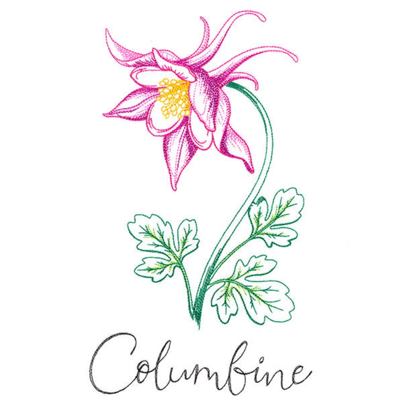 Wild Blooms – Columbine|9.28″ x 5.4″ / 235.64mm x 137.23mm|7.96″ x 4.63″ / 202.07mm x 117.68mm|7.23″ x 4.21″ / 183.69mm x 106.97mm|6.57″ x 3.83″ / 167mm x 97.22mm|All Sizes