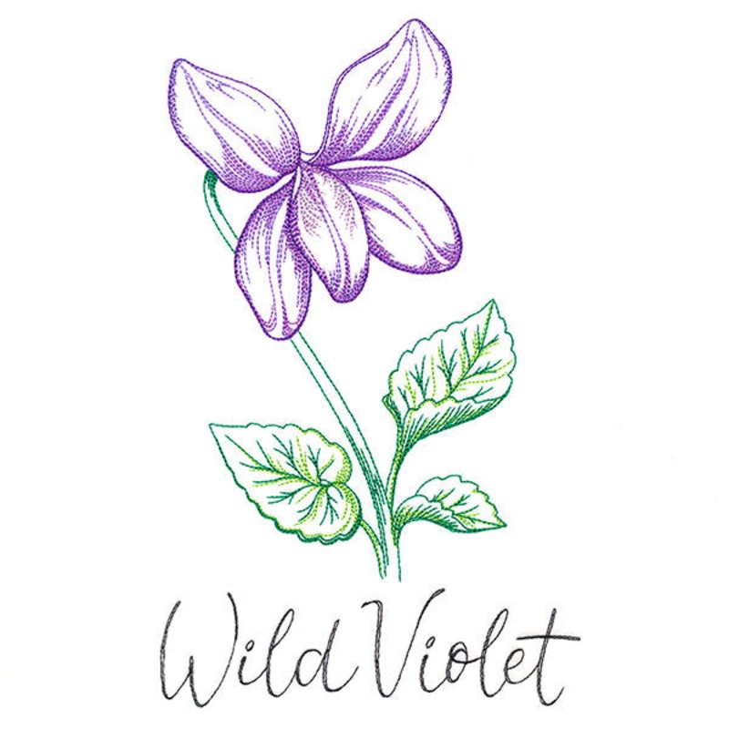 Wild Blooms – Wild Violet|9.27″ x 5.7″ / 235.38mm x 144.88mm|7.95″ x 4.89″ / 201.83mm x 124.31mm|7.22″ x 4.45″ / 183.46mm x 113mm|6.57″ x 4.04″ / 166.78mm x 102.51mm|All Sizes