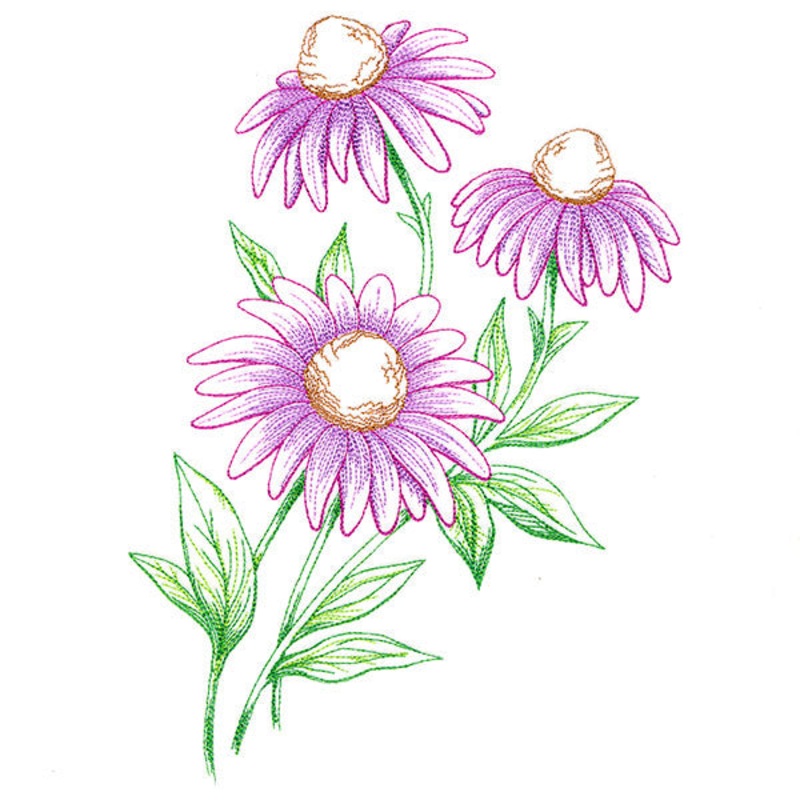 Wild Coneflower Bouquet|9.27″ x 6.85″ / 235.54mm x 173.95mm|7.8″ x 5.76″ / 198.09mm x 146.27mm|6.57″ x 4.85″ / 166.77mm x 123.17mm|All Sizes