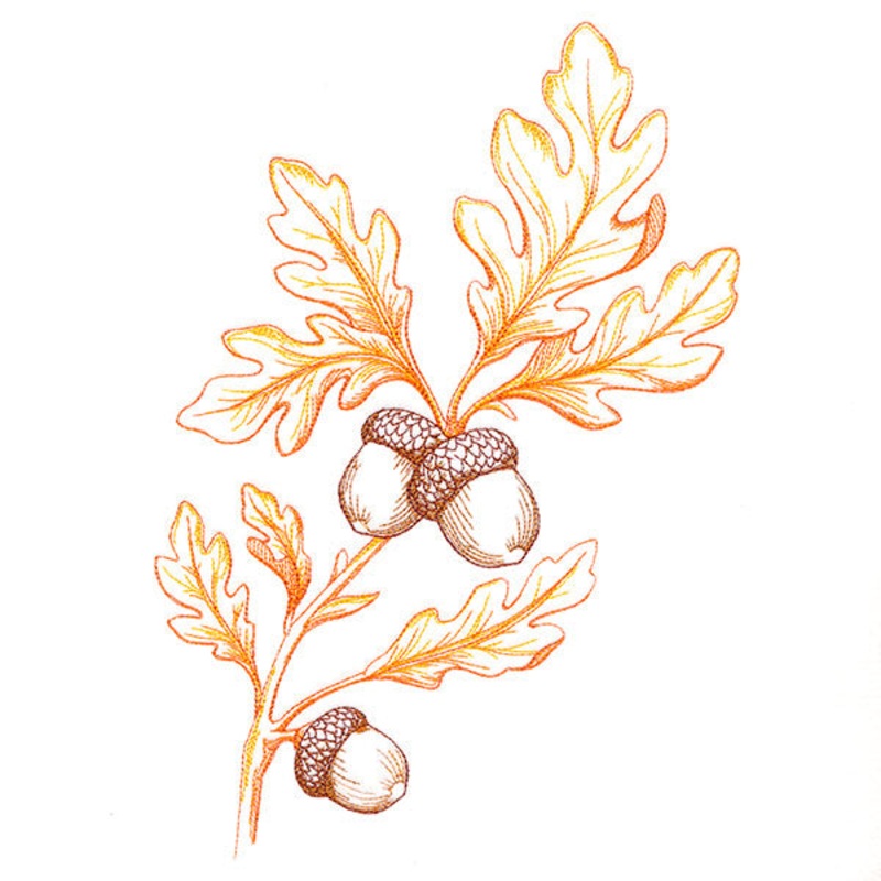 Wild Oak Leaf Bouquet|9.63″ x 6.85″ / 244.6mm x 173.99mm|7.8″ x 5.55″ / 198.08mm x 140.92mm|6.82″ x 4.85″ / 173.11mm x 123.17mm|All Sizes