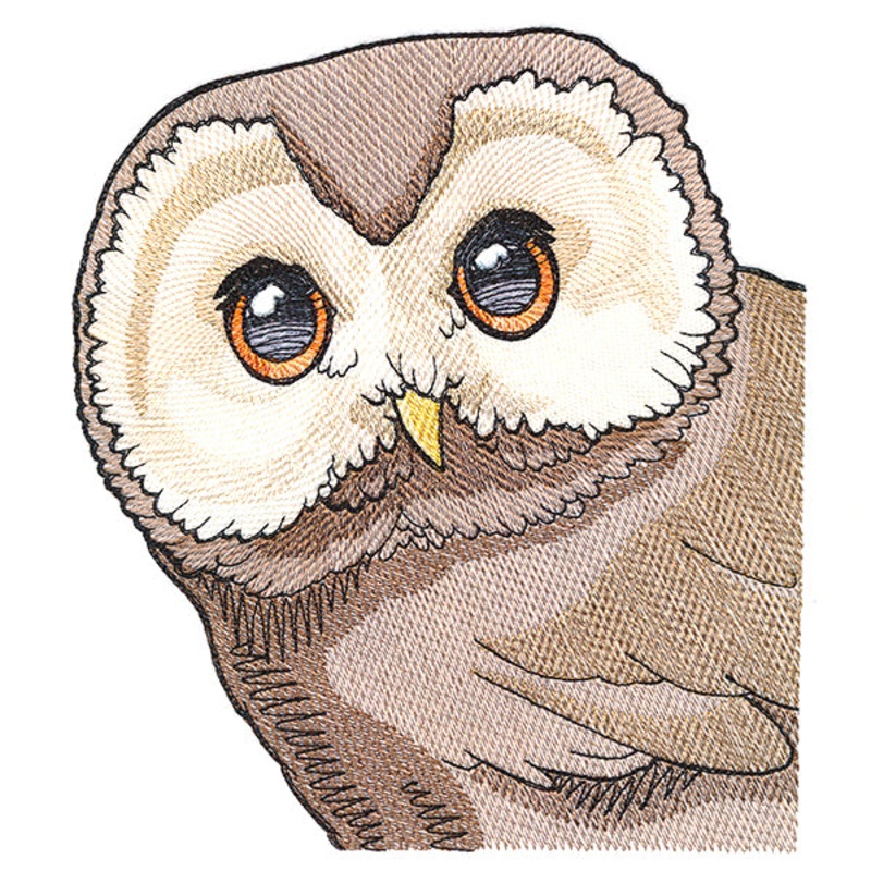 Wise Peeking Owl|7.71″ x 6.9″ / 195.81mm x 175.16mm|6.56″ x 5.87″ / 166.57mm x 148.99mm|5.44″ x 4.87″ / 138.22mm x 123.59mm|All Sizes