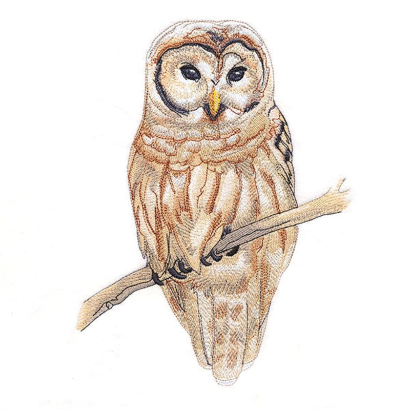 Wise in Winter Barred Owl|9.22″ x 6.9″ / 234.21mm x 175.15mm|7.8″ x 5.84″ / 198.19mm x 148.4mm|6.49″ x 4.87″ / 164.87mm x 123.6mm|All Sizes