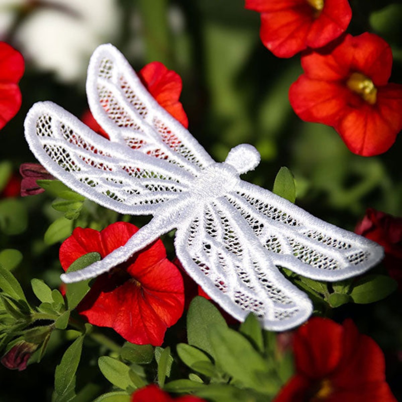 Winged Beauty – Dragonfly (Lace)