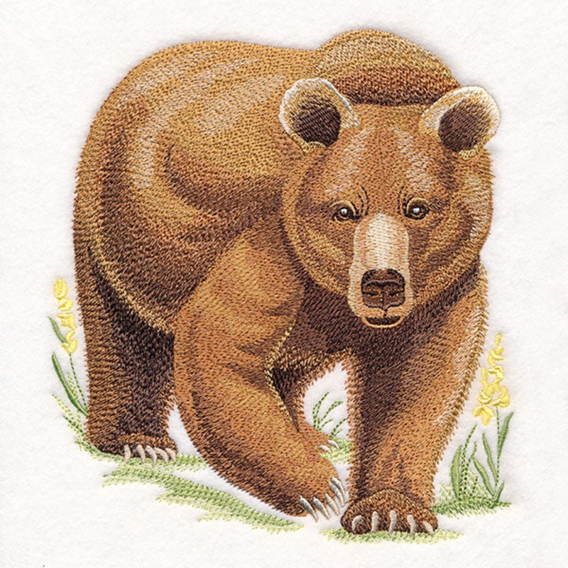 Wild Grizzly Bear|7.59″ x 6.86″ / 192.78mm x 174.28mm|6.48″ x 5.86″ / 164.48mm x 148.88mm|5.38″ x 4.86″ / 136.58mm x 123.48mm|All Sizes