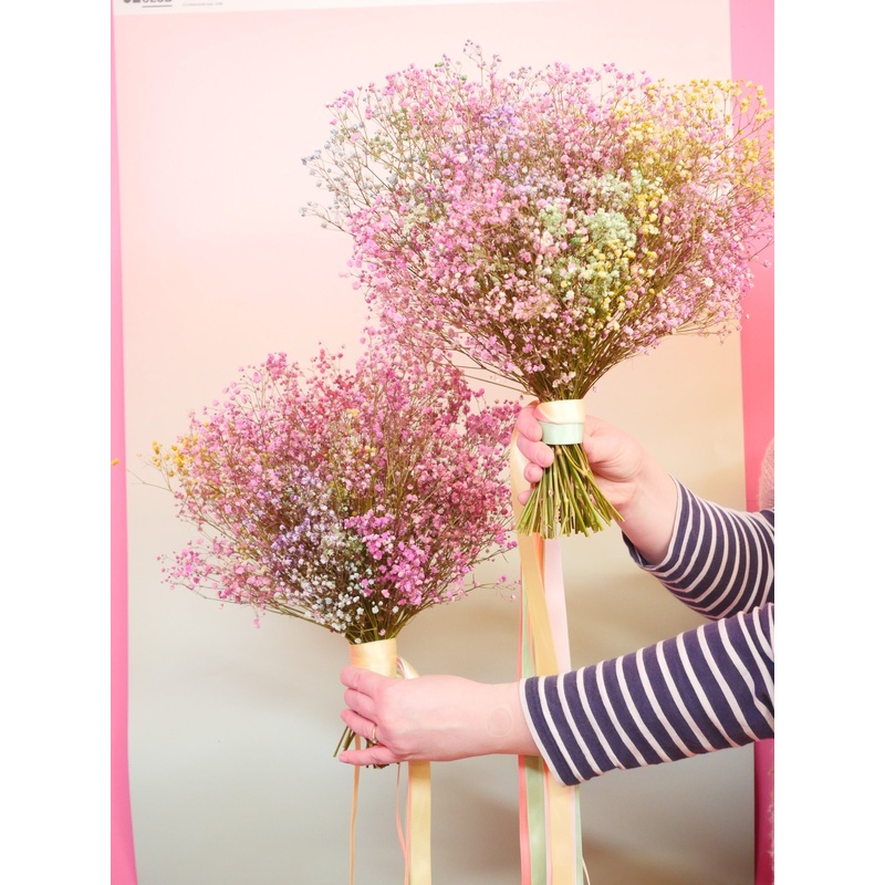 The Rainbow Cloud Gypsophilia Dried Flower Baked Blossom Bridal Bouquet