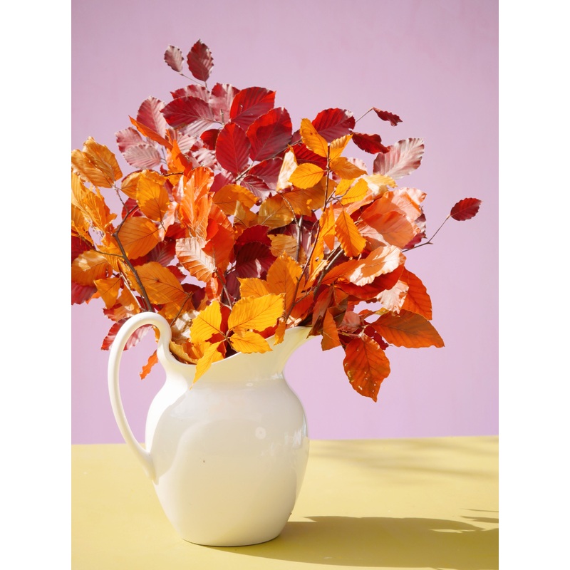 Autumn Leaves Dried Flower Bunch