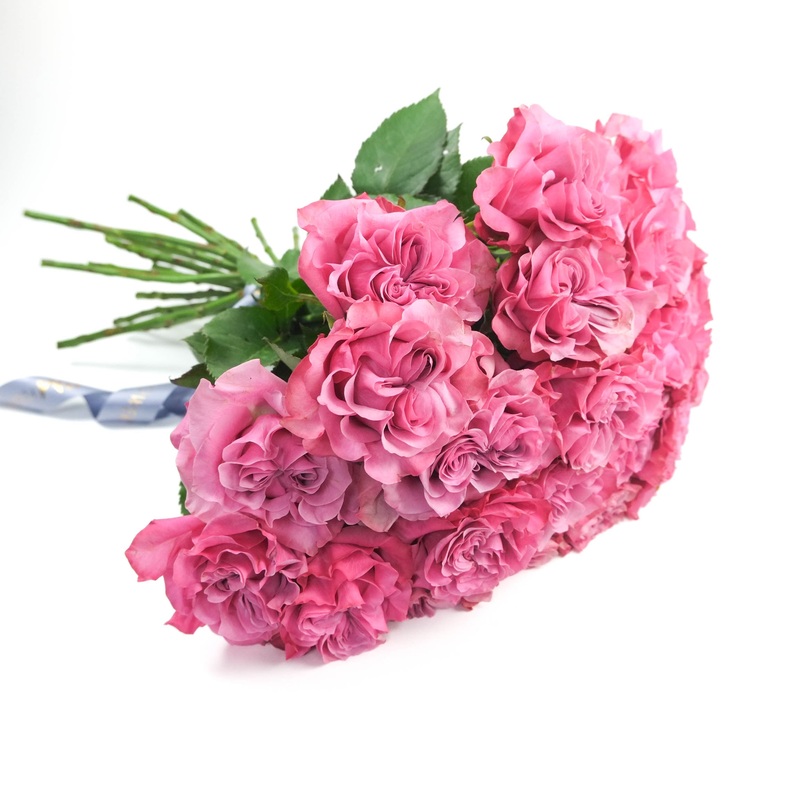 Country Blue Roses|10 Stems|12 Stems|15 Stems|20 Stems