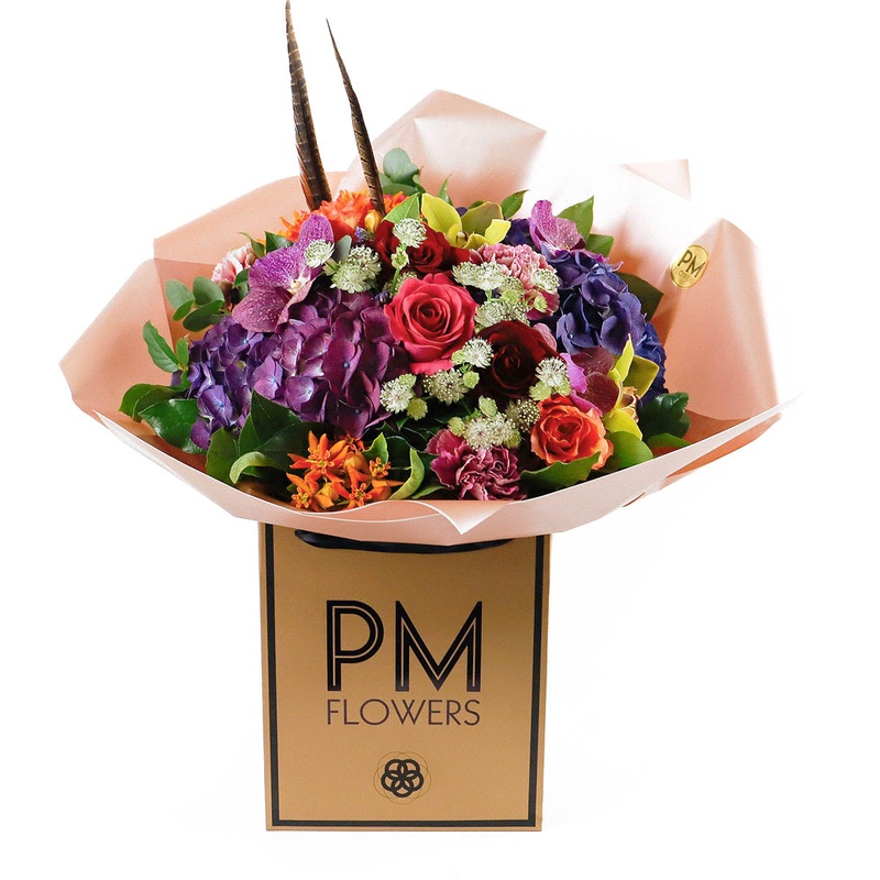 Gianni|Original|Superior