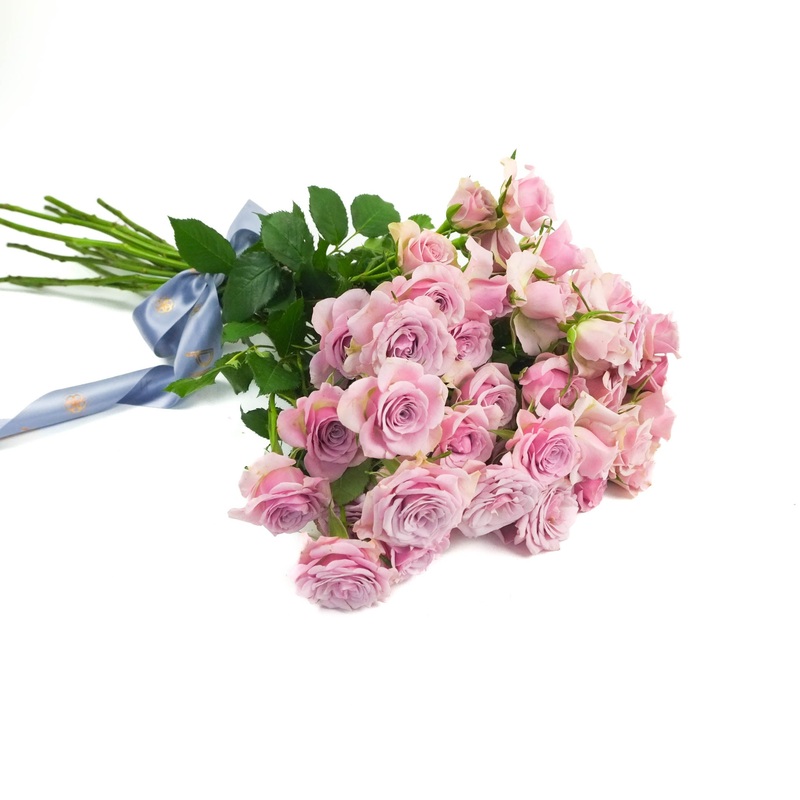 Leila Spray Roses|10 Stems|12 Stems|15 Stems|20 Stems