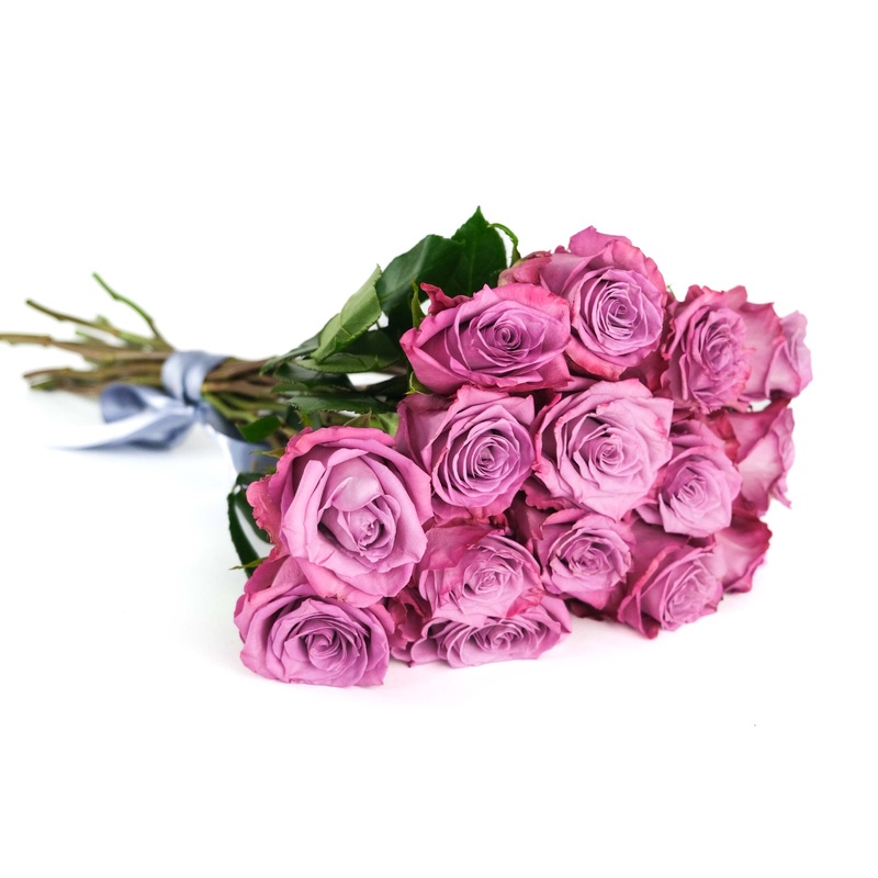 Moody Blue Roses|10 Stems|12 Stems|15 Stems|20 Stems