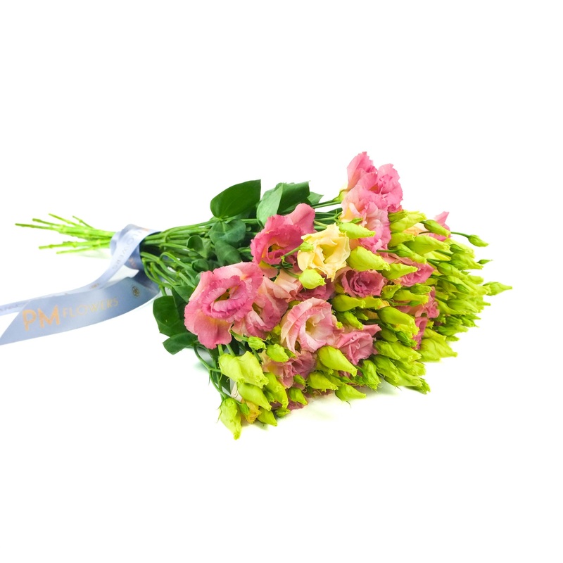 Pink Lisianthus|10 Stems|12 Stems|15 Stems|20 Stems