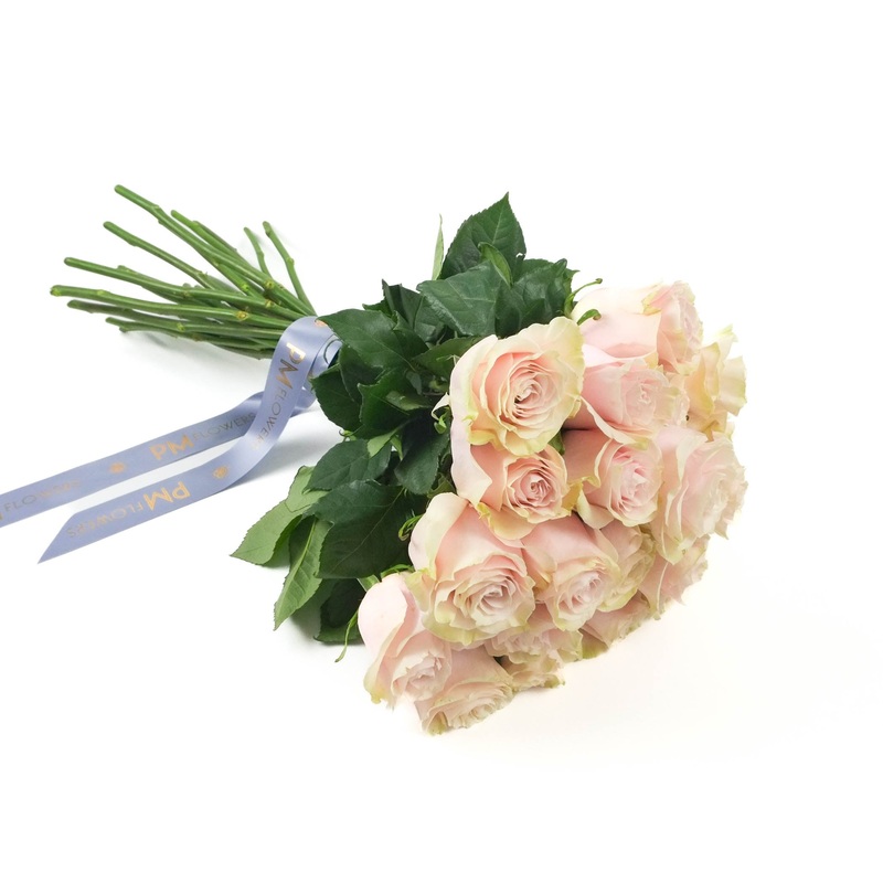 Pink Mondial Roses|10 Stems|12 Stems|15 Stems|20 Stems