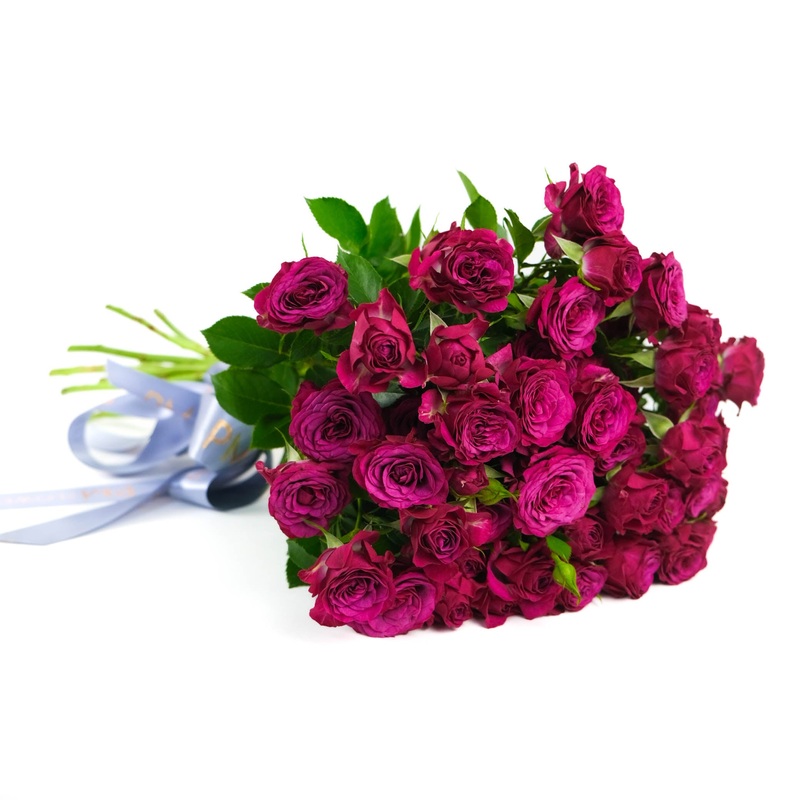 Purple Spray Roses|10 Stems|12 Stems|15 Stems|20 Stems