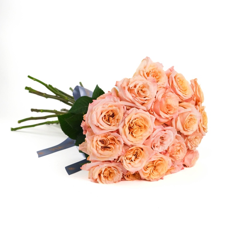 Shimmer Roses|10 Stems|12 Stems|15 Stems|20 Stems
