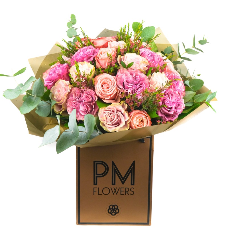 Splendid|Original|Superior