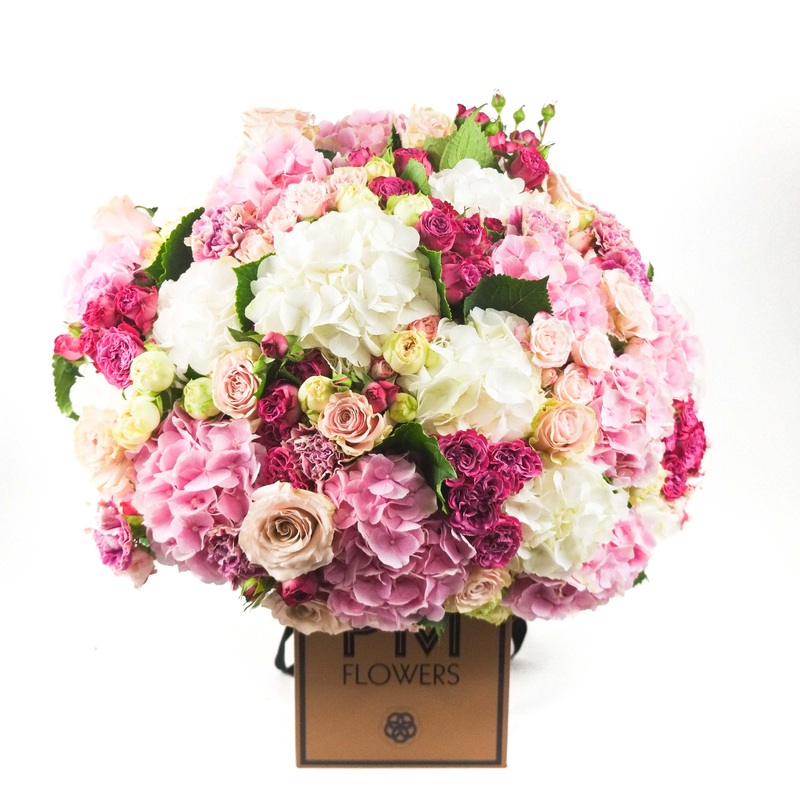 Stellar|Original|Superior