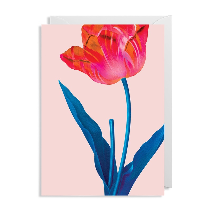 Tulip Floral Card