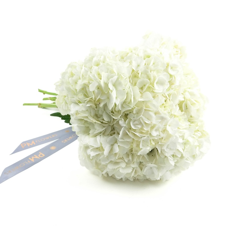 White Hydrangeas|10 Stems|12 Stems|15 Stems|20 Stems